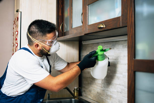 Best Pest Control Near Me in Industry, PA