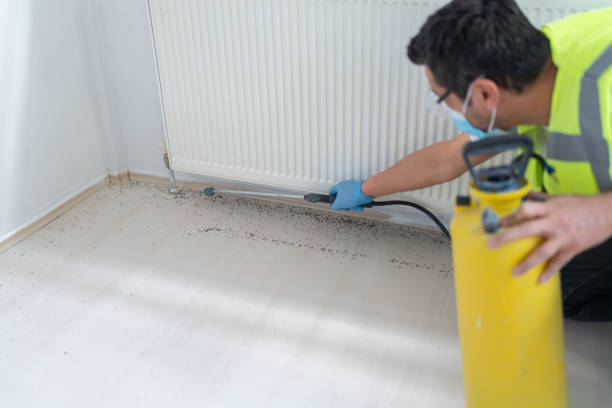 Best Pest Inspection Near Me  in Industry, PA